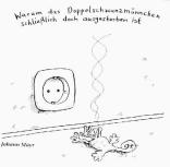 Doppelschwanztier