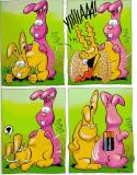 Hasi
